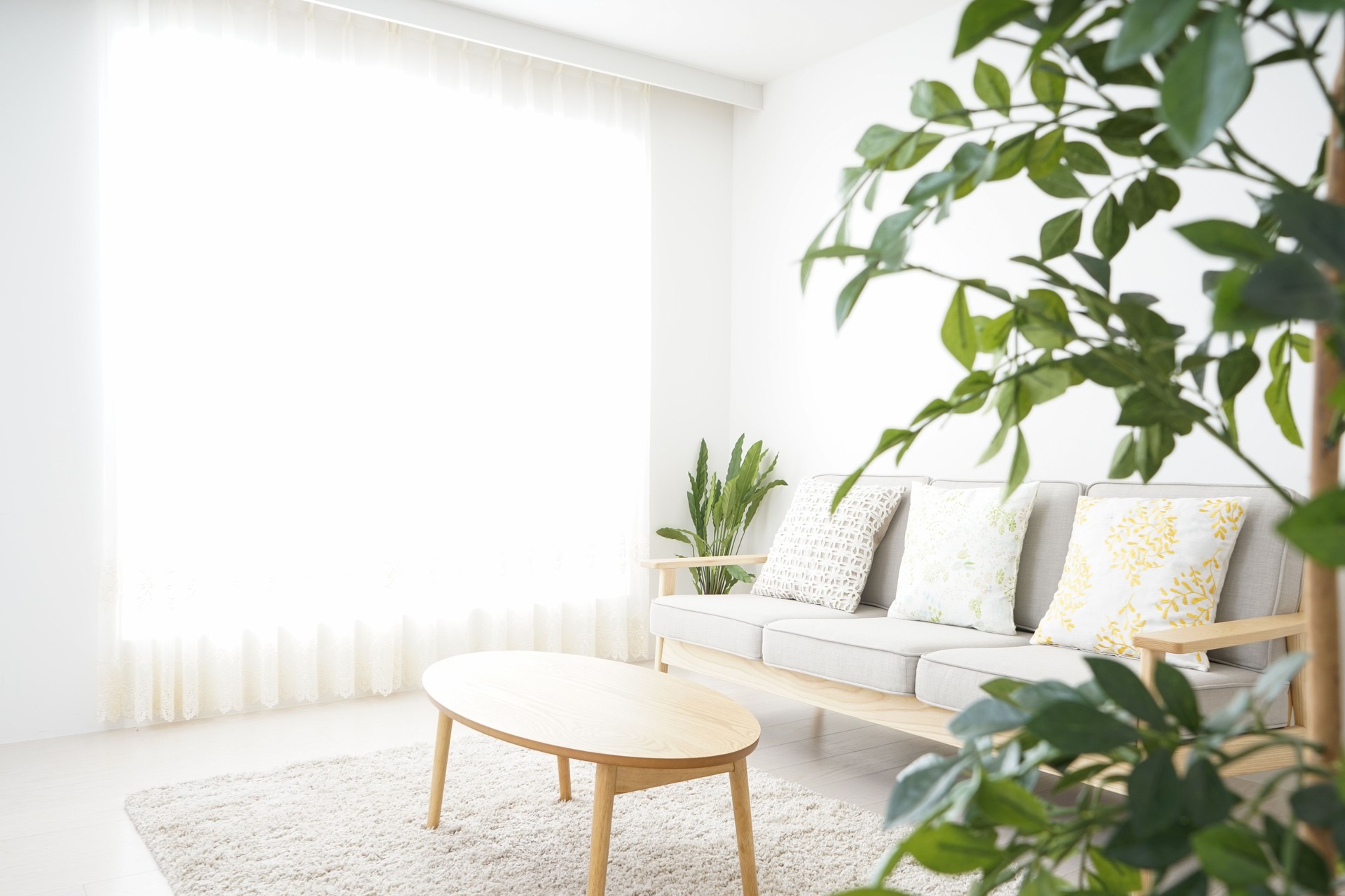Simple room with nobody